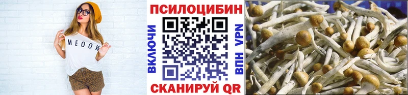Псилоцибиновые грибы Cubensis цена наркотик Брюховецкая